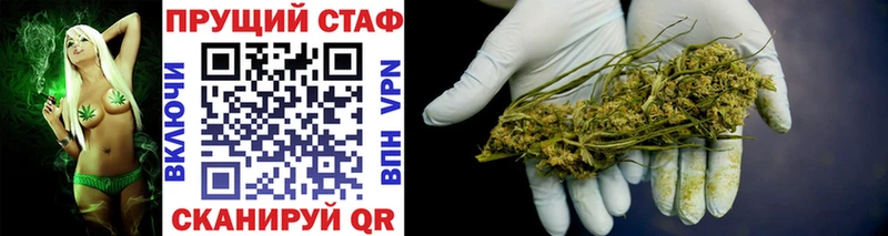 Псилоцибиновые грибы Ростов