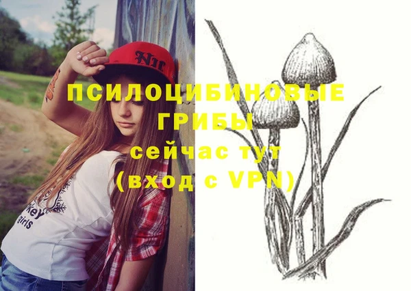 ПСИЛОЦИБИНОВЫЕ ГРИБЫ Шадринск